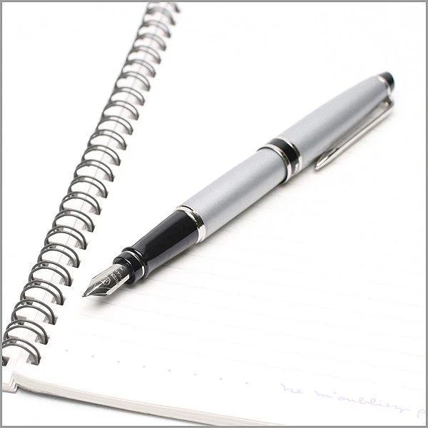 Ручка ролл. Вотерман Expert мат.-хром 42 752 2