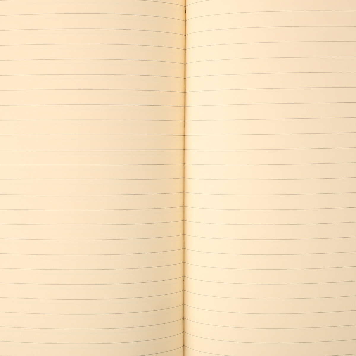 Блокнот В5 Pro в линейку Обложка черная/салатовая кремовый блок, 11101PR9RI 2