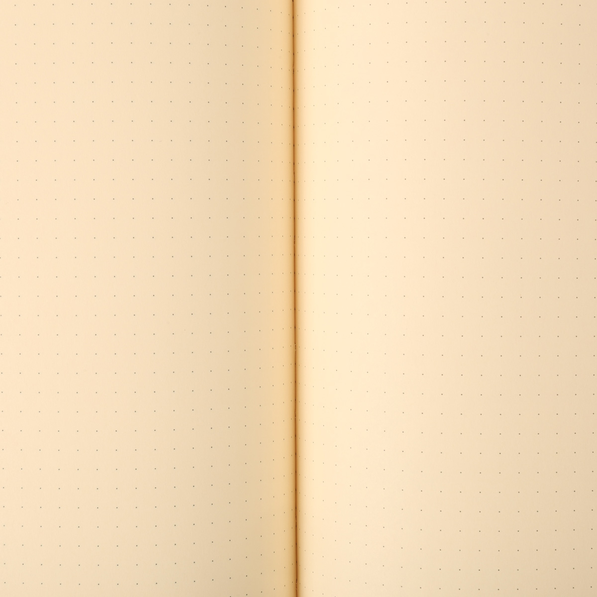 Записник В5 Pro у крапку Обкладинка сіра/фіолетова кремовий блок, 11301PRHNV 3