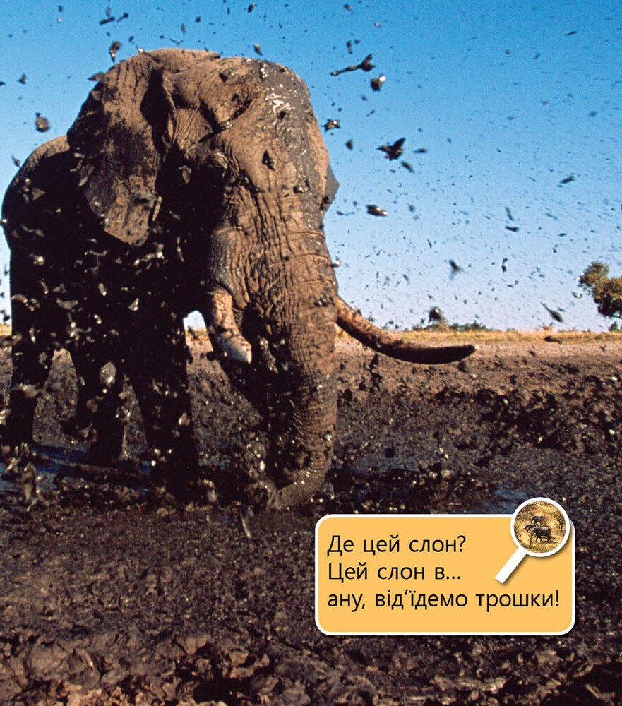 Перше читання Non Fiction: Домашні улюбленці і не тільки...Рівень 5 (у), 288590 3