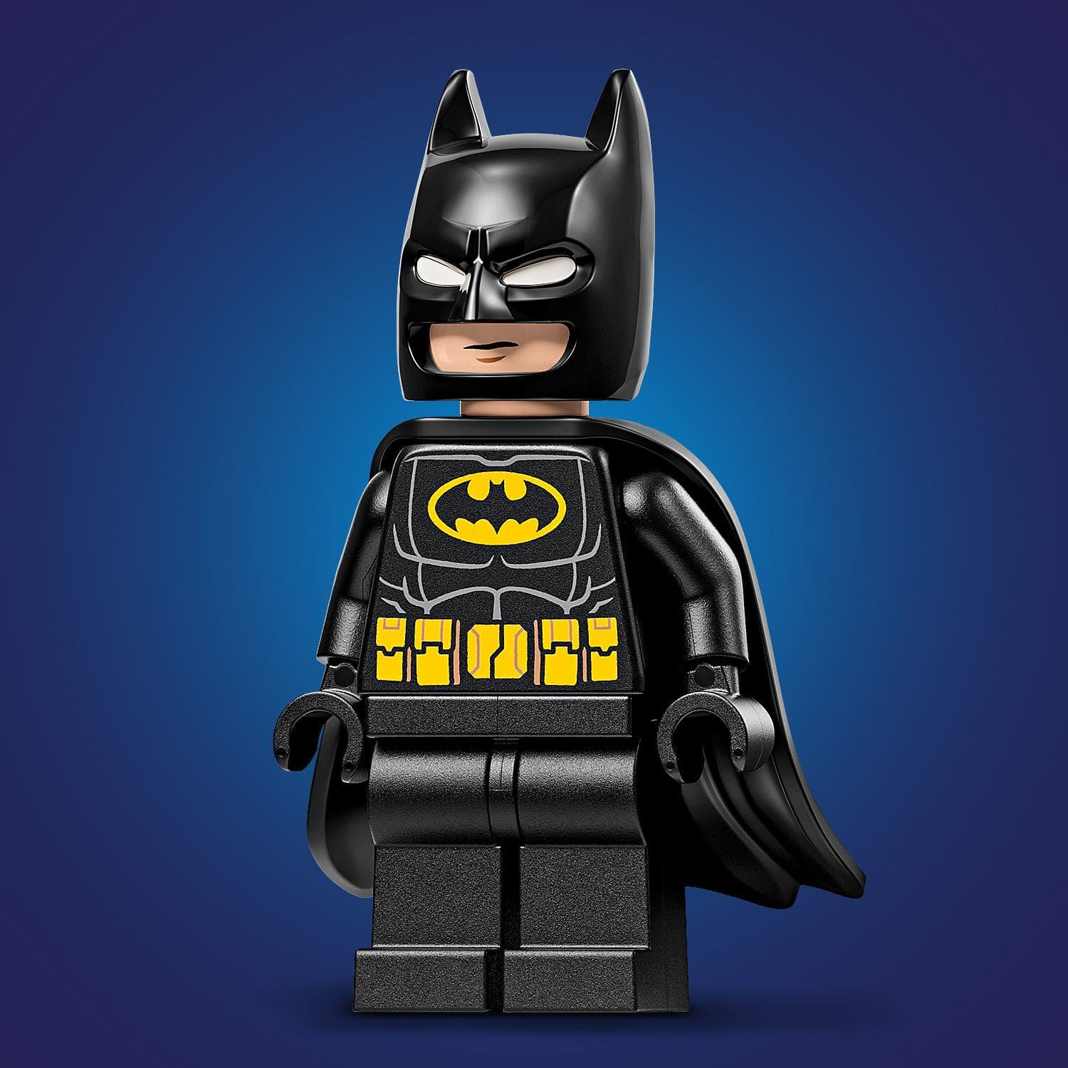 Конструктор Lego Super Heroes "Логотип Бетмена", 76330 9