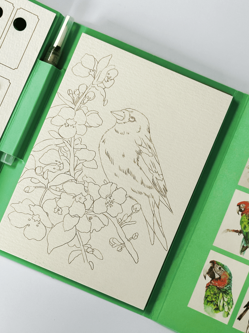 Акварельний скетчбук, з ручкою та твердими фарбами "Птахи", SKETCH1 4