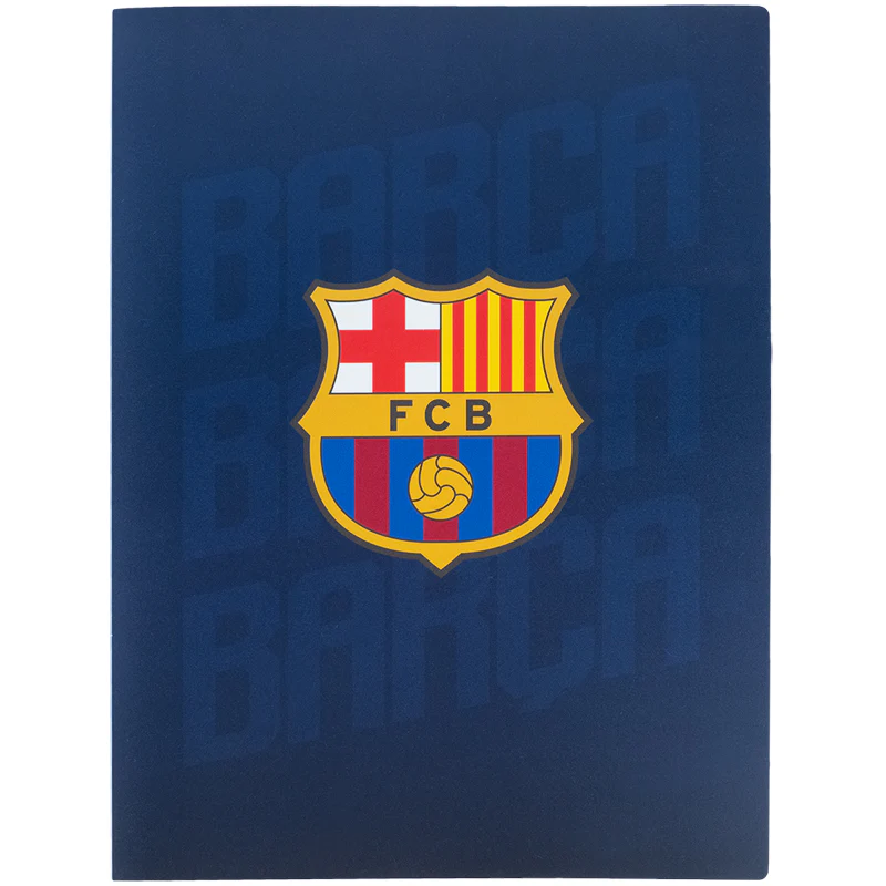 Дисплей-книга, А4, 20 файлов, BC, BC25-249