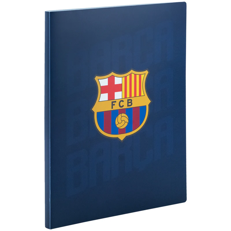 Дисплей-книга, А4, 20 файлов, BC, BC25-249 1