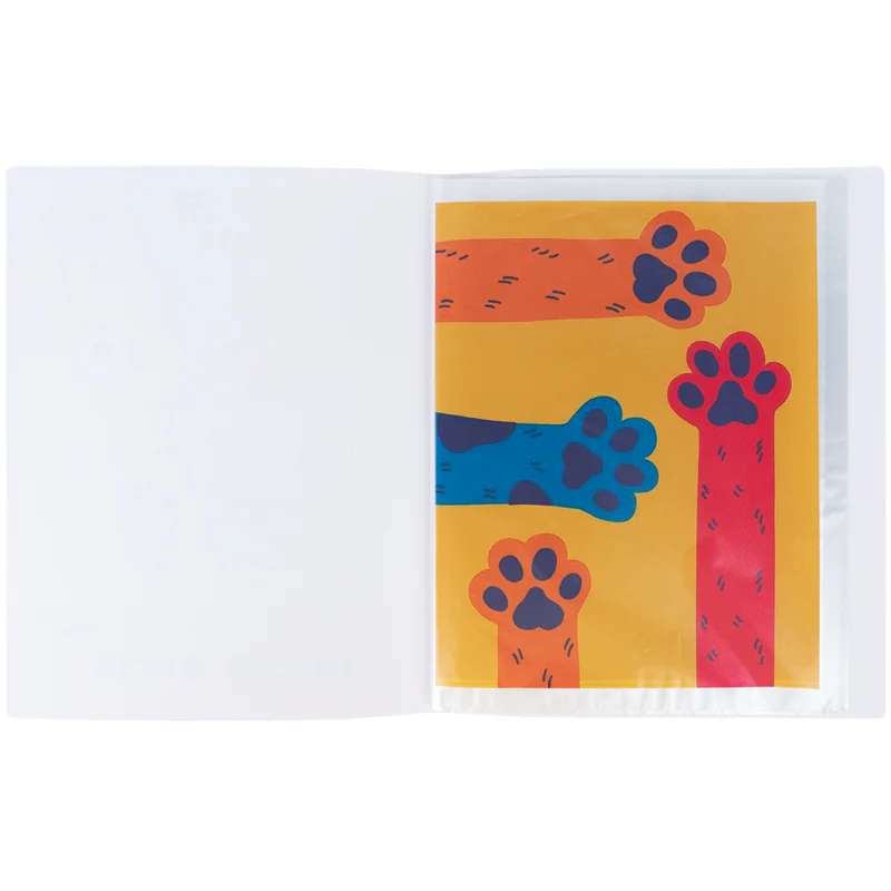 Дисплей-книга, А4, 20 файлов, BC, BC25-249 2