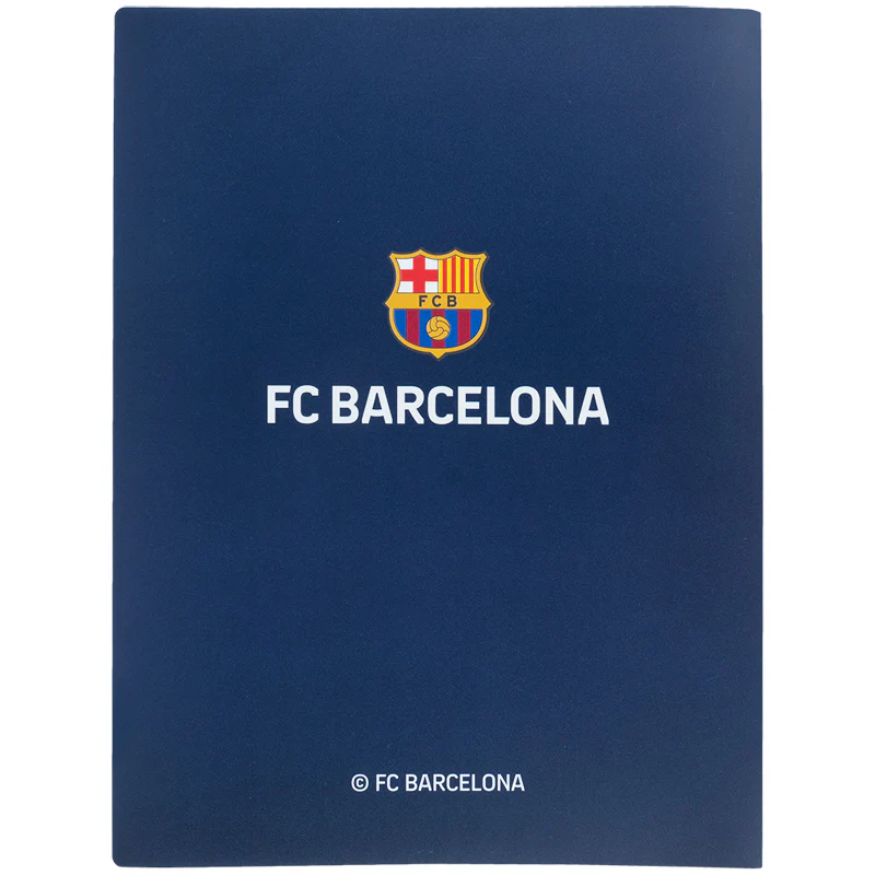 Дисплей-книга, А4, 20 файлов, BC, BC25-249 3