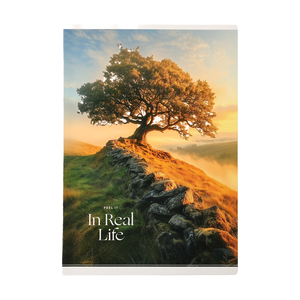 Зошит А4 40 арк. "Student" кл., білий блок, 70г/м2, картон, УФ-лак (8500) 2