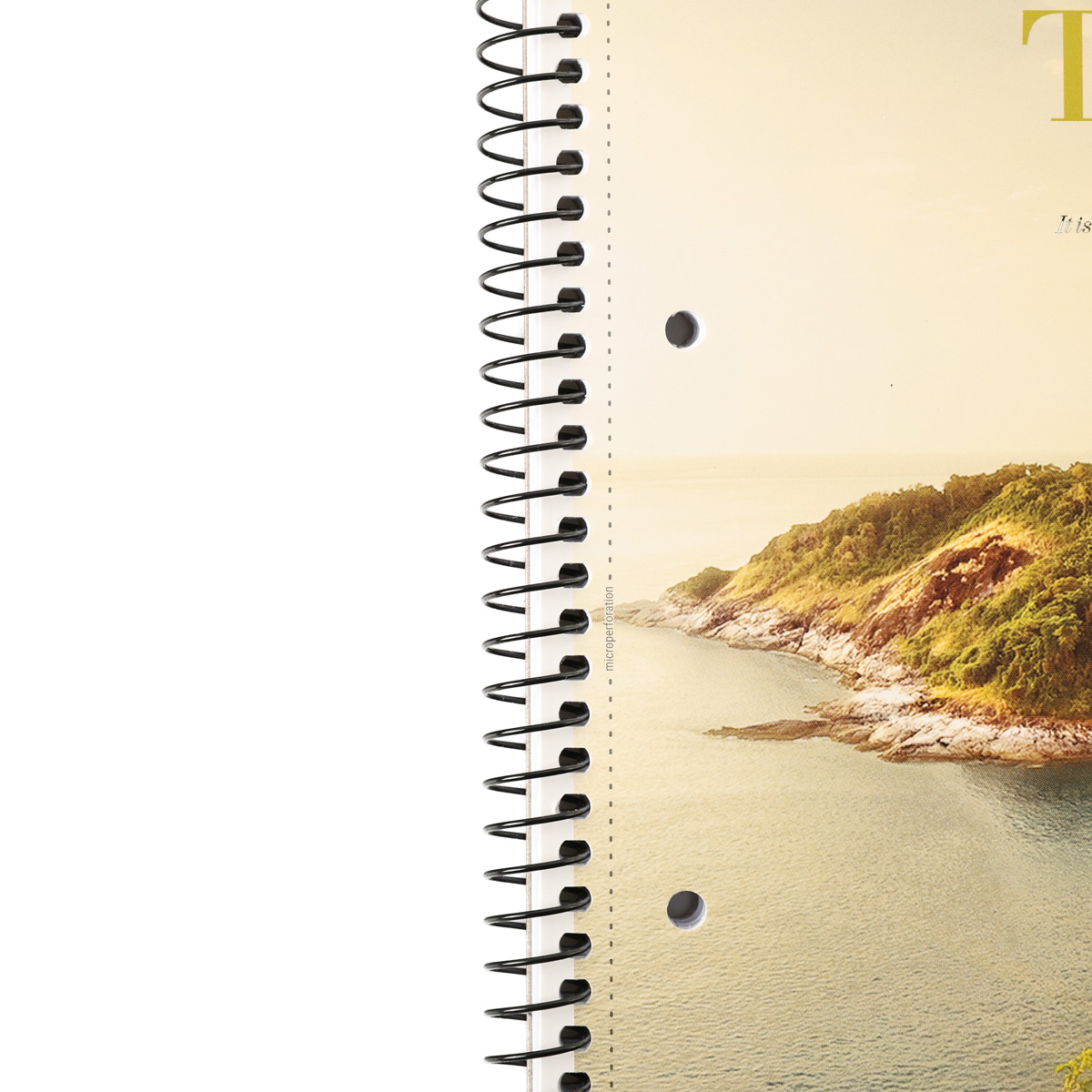 Коледж-блок А4+ 80 арк. кл., білий блок, 70г/м2, картон, ВД-лак (0138) 4