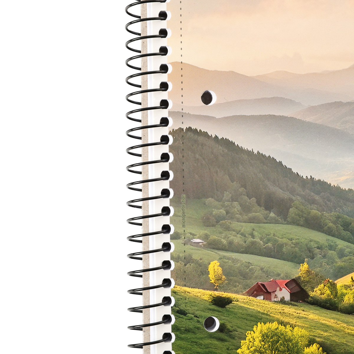 Коледж-блок А4+ 80 арк. кл., білий блок, 70г/м2, картон, ВД-лак (0138) 1