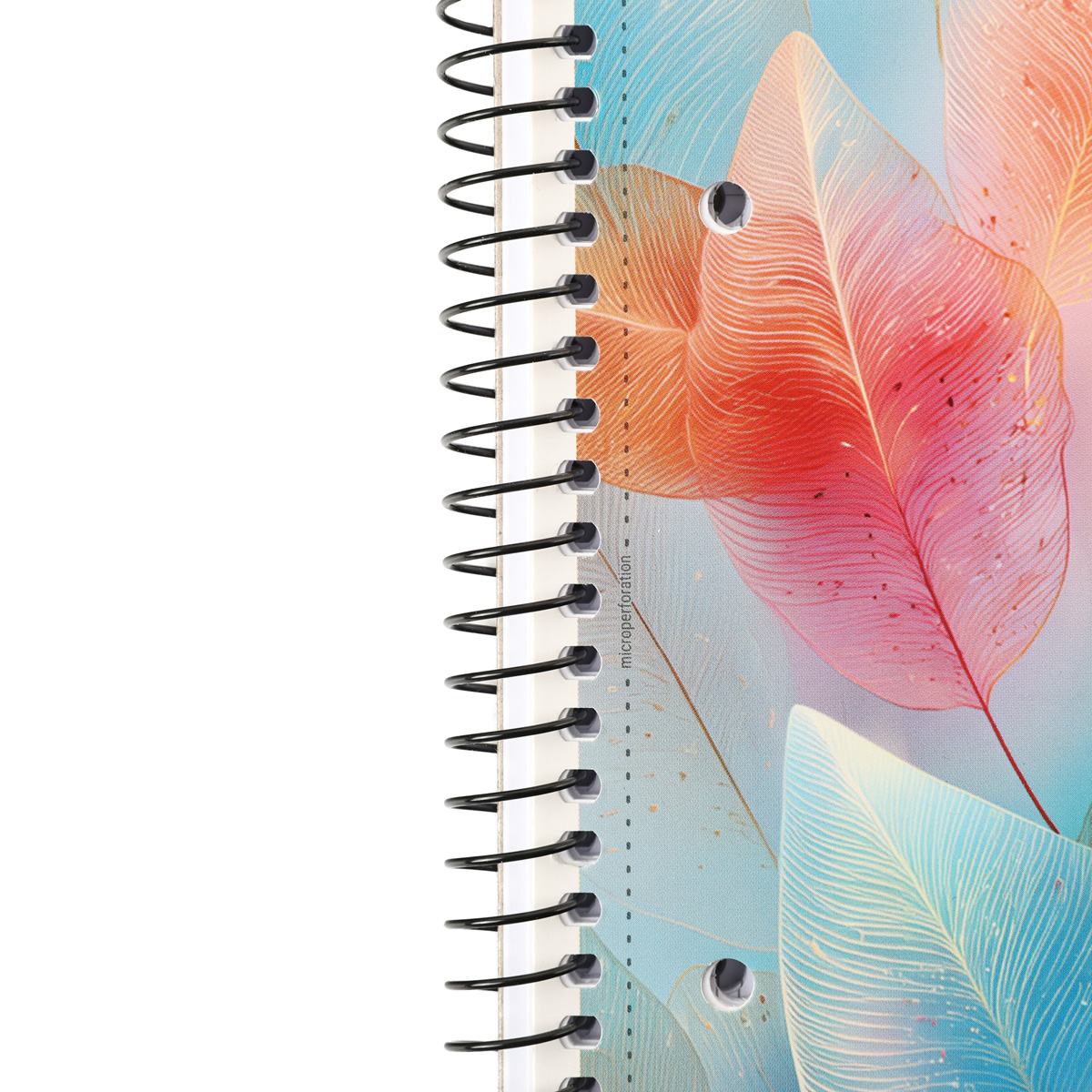 Коледж-блок А4+ 80 арк. кл., білий блок, 70г/м2, картон, ВД-лак (0558) 1