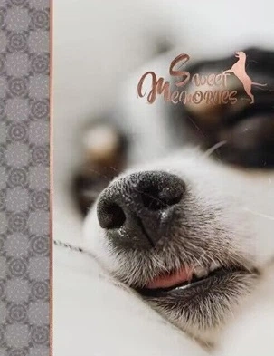 Фотоальбом Ufo 10*15*200 PP-46200 Enjoy