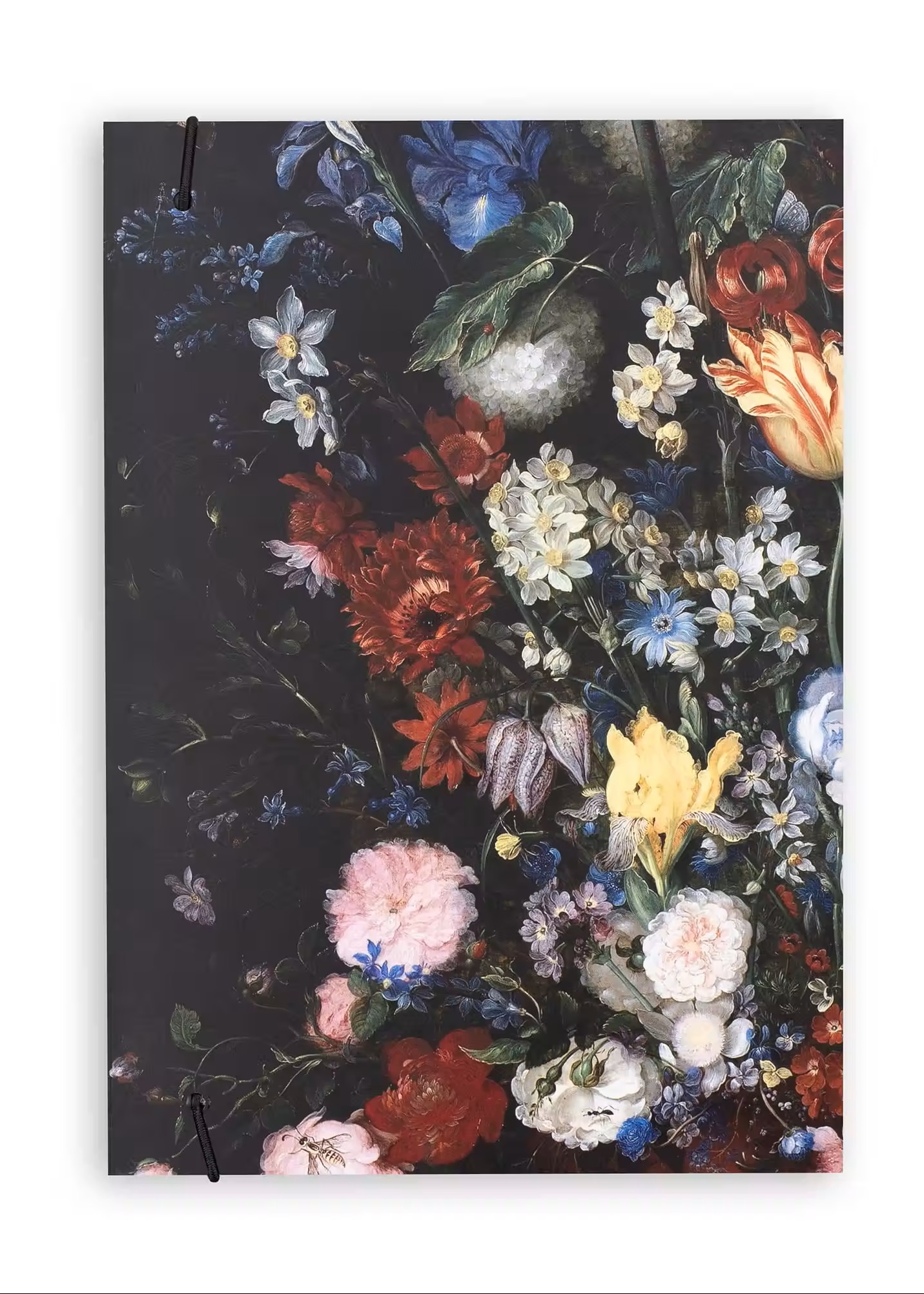 Скетчбук А5 Bruegel 1620 Plus, 150 г/м², 160 арк. на гумці, кремовий, Manuscript 1