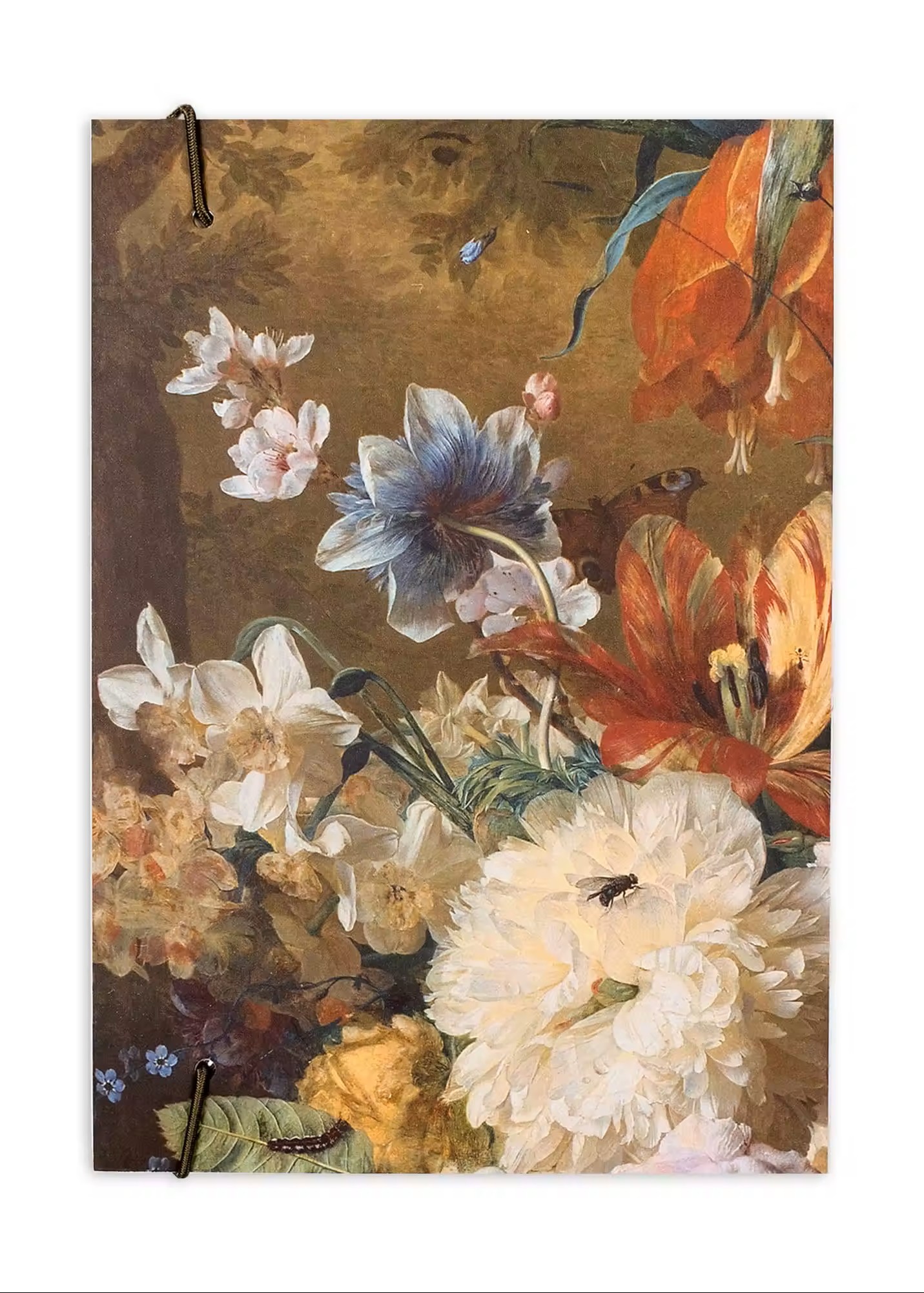 Скетчбук А5 Huysum 1724 Plus, 150 г/м², 160 арк. на гумці, кремовий, Manuscript 1