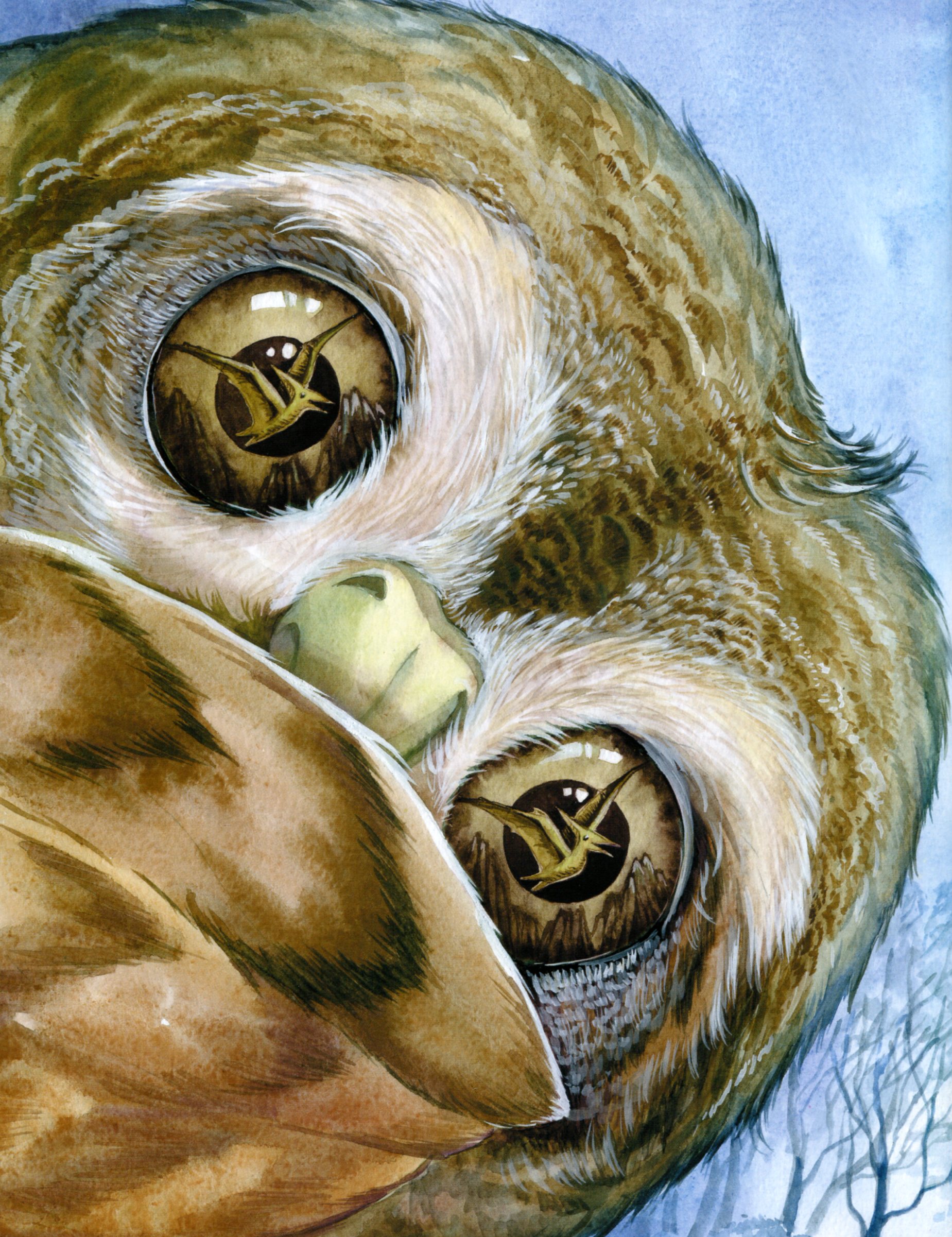 Книга "Ран Ю. Акварельные истории: Совенок, который водил на прогулку луну" (у) 2