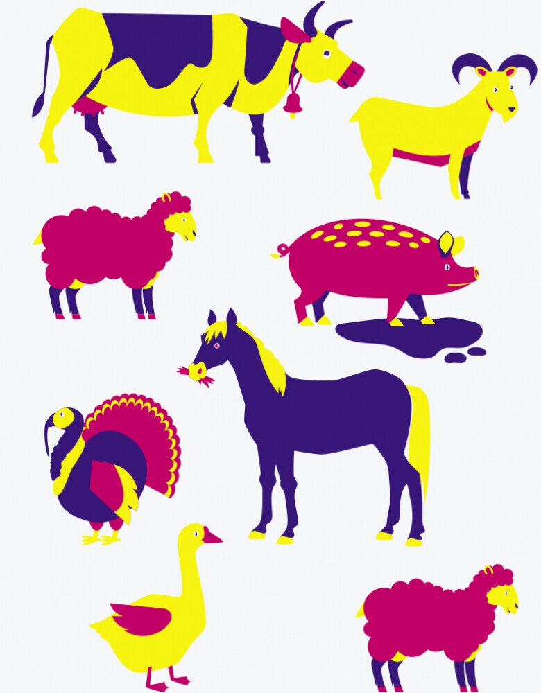 Книга "Что спрятано? Отыщи пару. Маслова Т." (в) (5978) 1