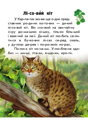 Книга "Читаємо по складах. Каспарова Ю. Моя Україна. Тваринний світ гір" (у) (2717) 1