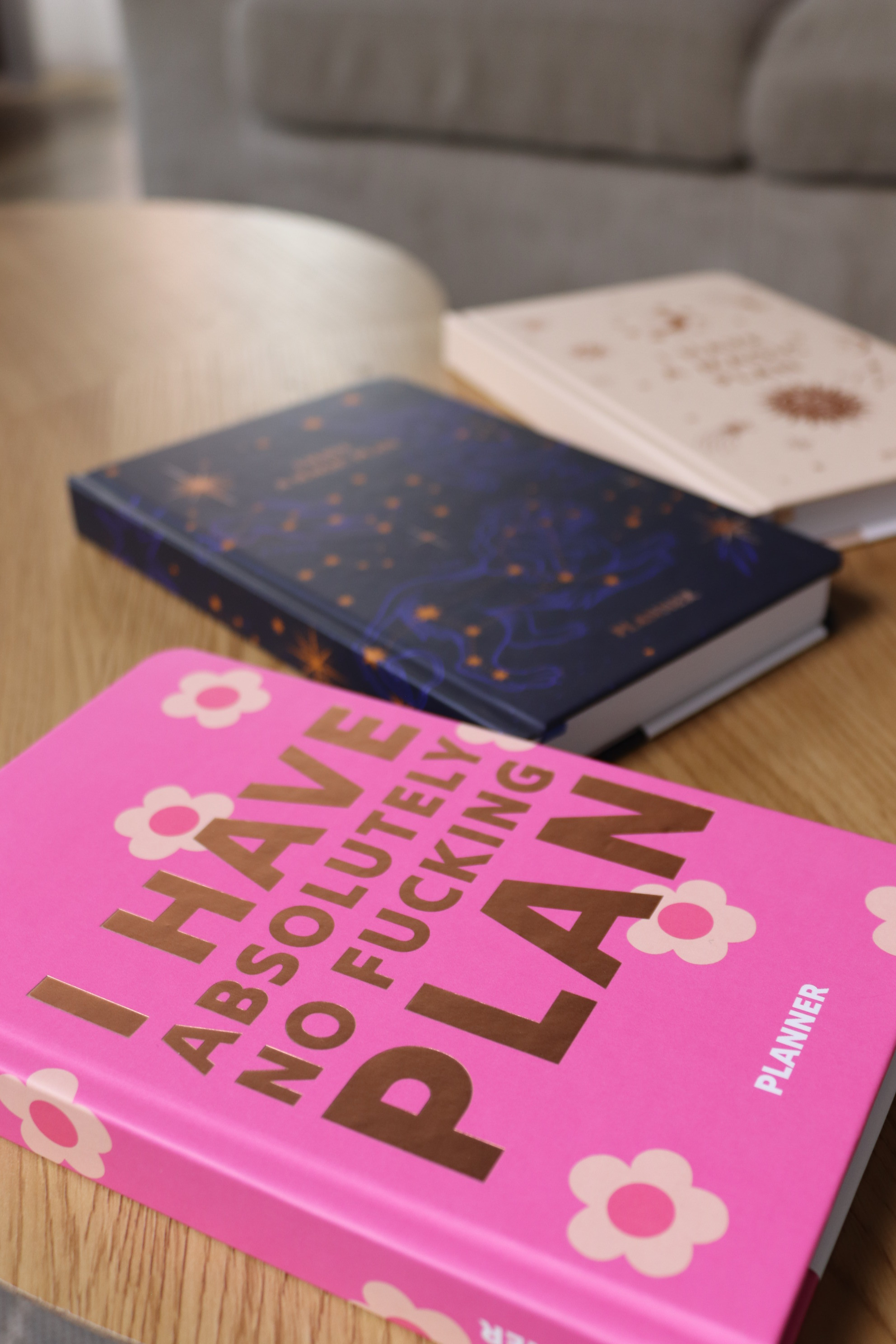 Блокнот для планування "I HAVE ABSOLUTELY NO PLAN mini", рожевий, orner-3011 3