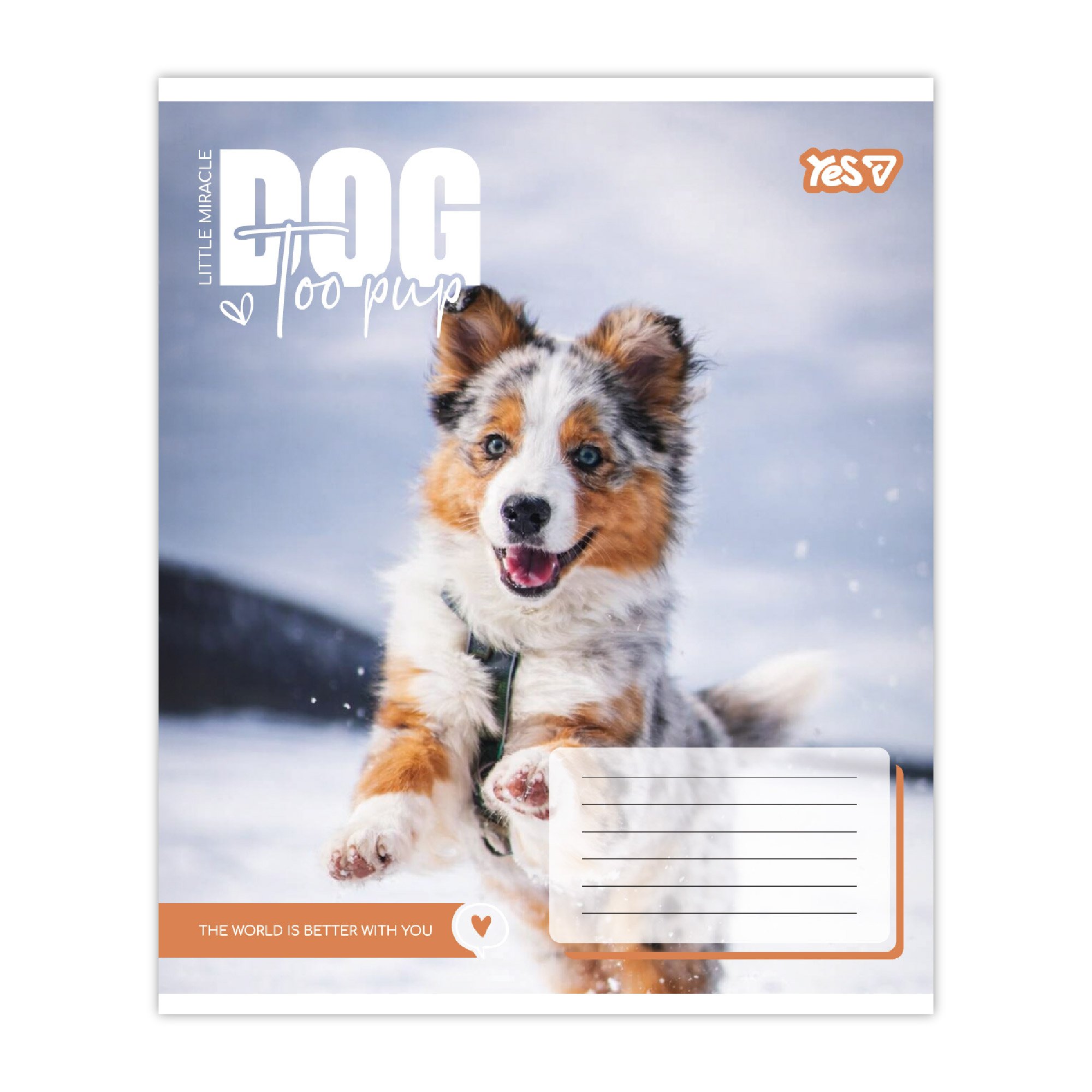 Зошит 12 кл. Yes "Dog too pup", 768731 5
