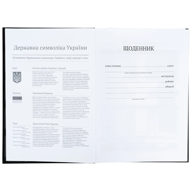 Щоденник шкільний, тверда обкл, SK8, K26-262-3 3