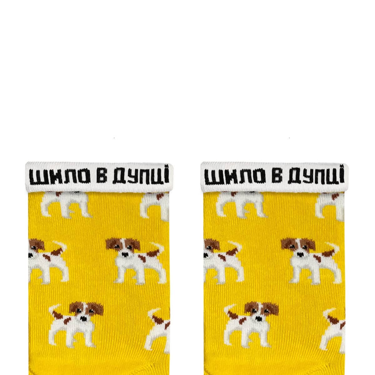 Шкарпетки Дитячі "Джек Рассел" - 2-3р, jackrussell2y фото