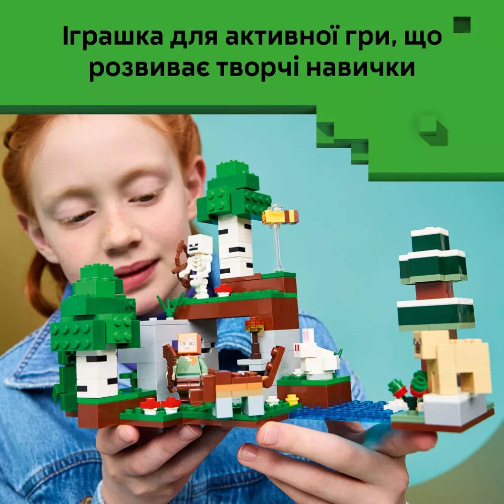 Конструктор Lego Minecraft "Приключение первой ночи", 21593 внешний вид