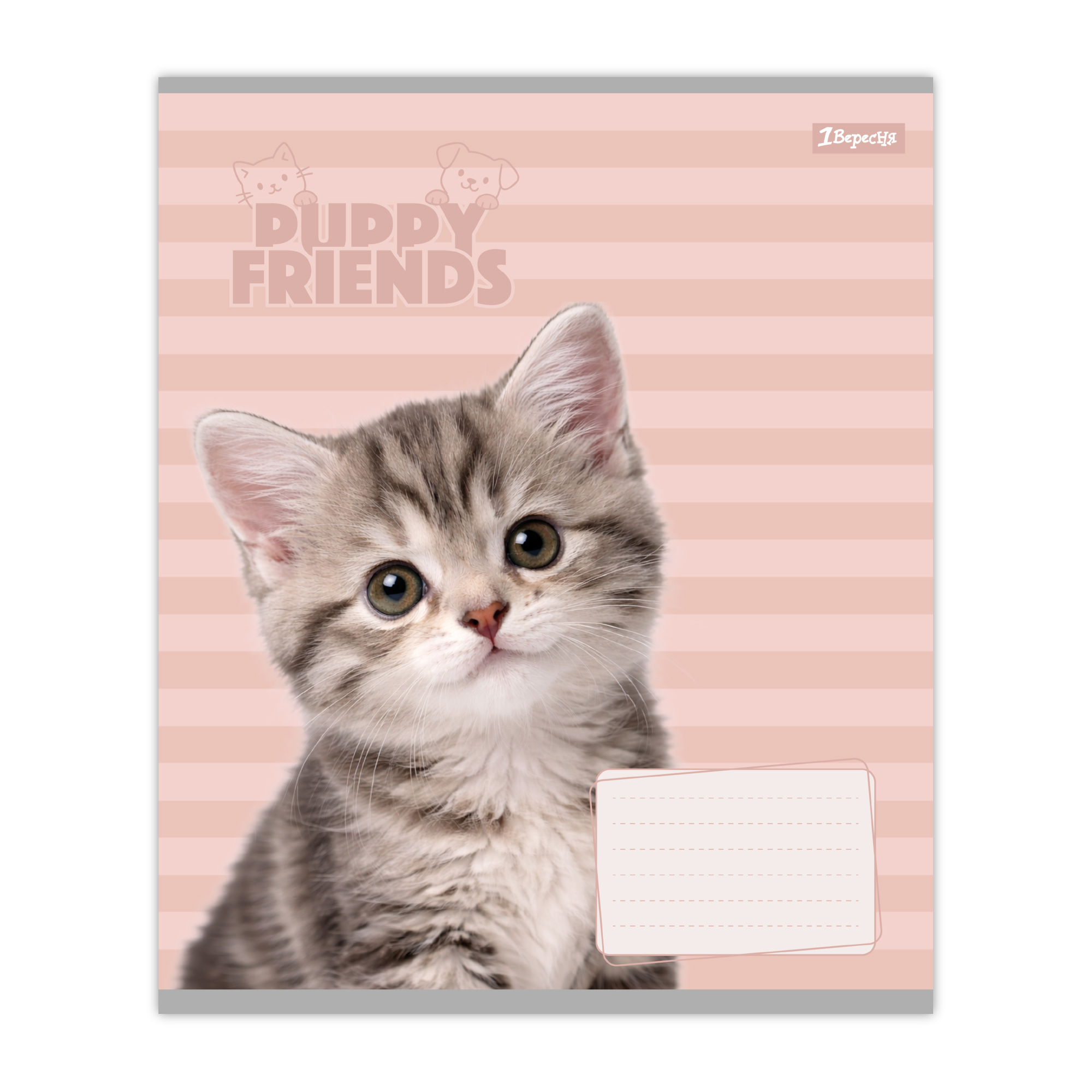 Зошит 12 кос. 1В "Puppy friends", 768778 зовнішній вигляд