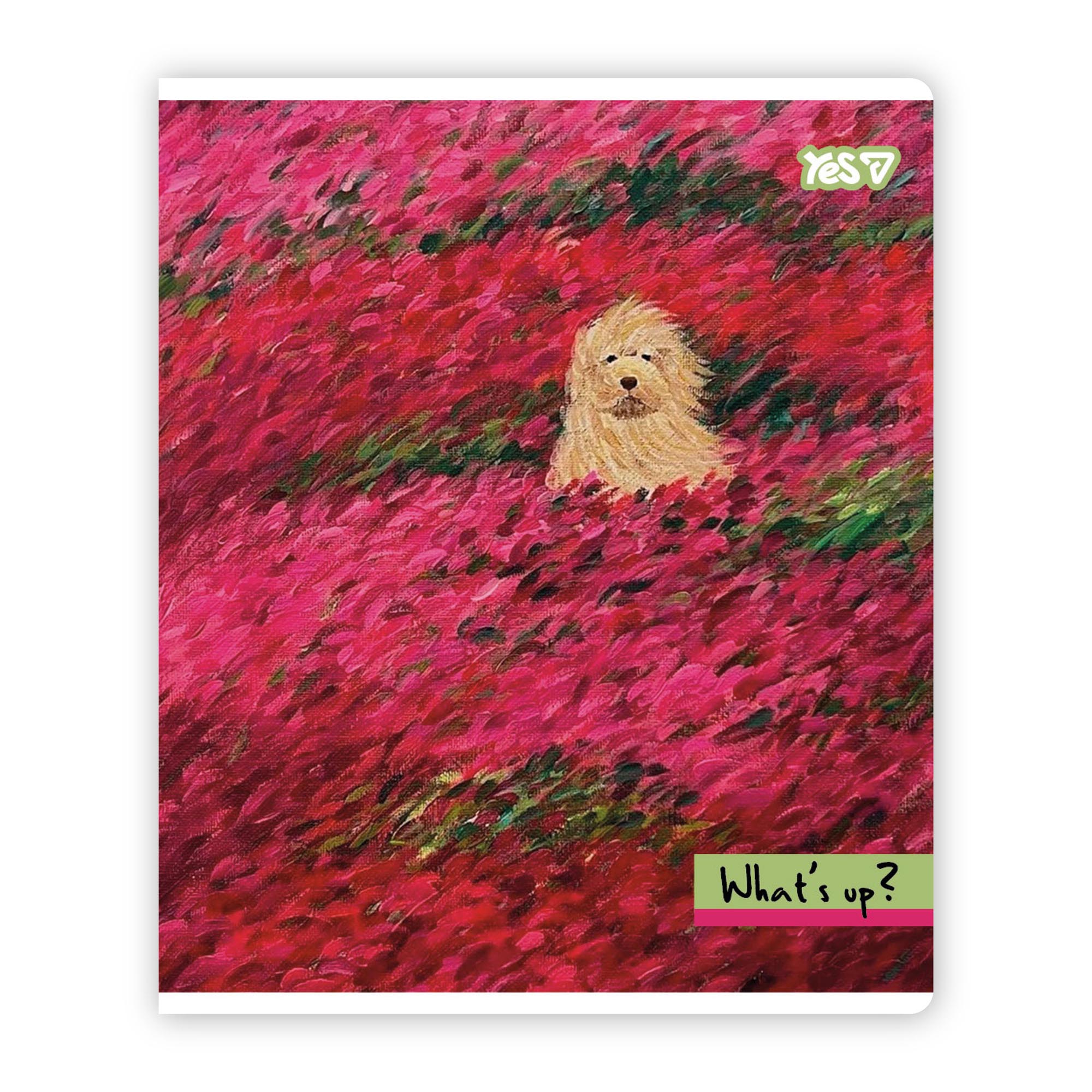 Тетрадь 48 кл. Yes "Whats up?", 768600 изображение товара