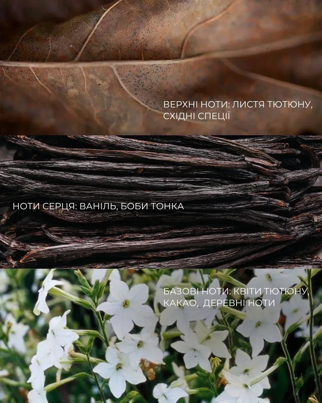 Парфумований крем для рук з маслом ши "Mystic Tobacco Mars", 30 мл, ТМ Dott зображення