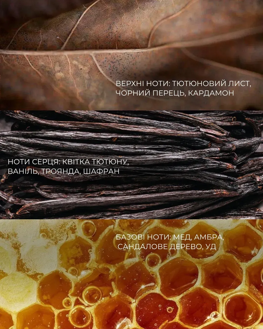 Парфумований гель для душу з Д-пантенолом, трегалозою, бетаїном та молочною кислотою "TOBACCO&VANILLA", ТМ Dott зображення