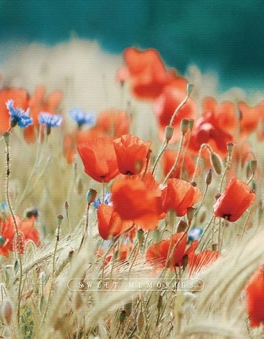 Фотоальбом Ufo 10*15*200 PP-46200 Poppies