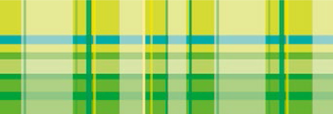 Картон диз. двухсторонній "Vichy" 300 г 20*30 см мотив клетка зелений UR-13362202R