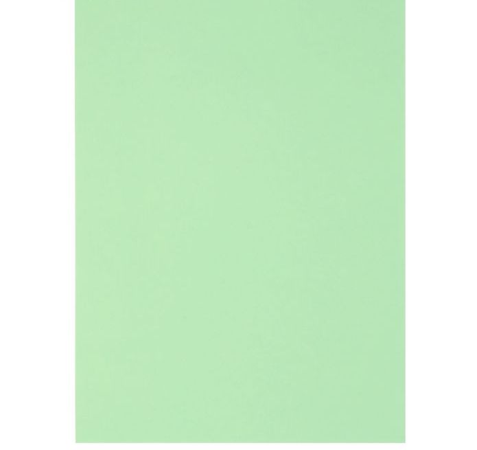 Бумага для дизайна Sirio А4 170 г/м2 №11 pale green/бледно-зелёный, 07911 Sadipal