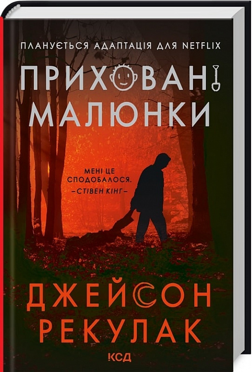 Книга "Рекулак Д. Скрытые рисунки" (у) (8217)
