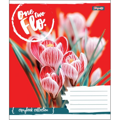 Зошит 24 лін. 1В One Two Flo, 764586