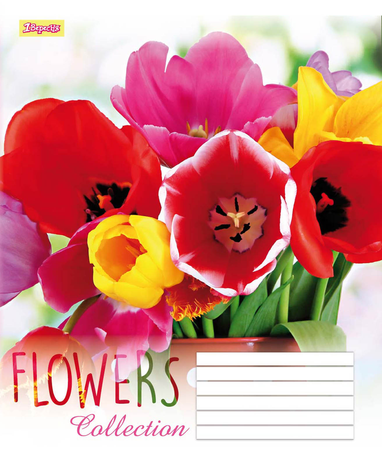 Зошит 60 лін. 1В Flowers dream -17, 760184 (8361)