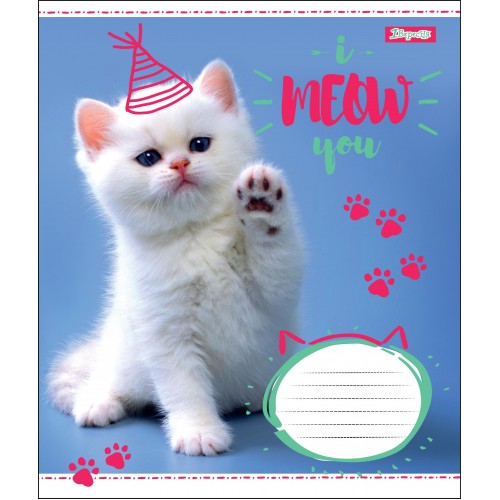 Тетрадь 18 кл. 1В I Meow You, 764521
