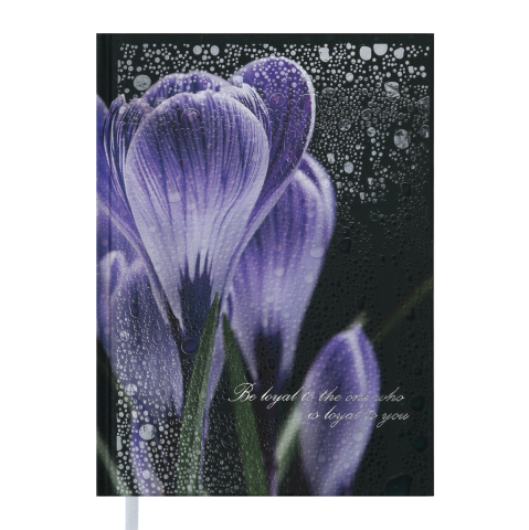 Щоденник недатований Posh, A5, 288 стр., фіолетовий, BM.2013-01