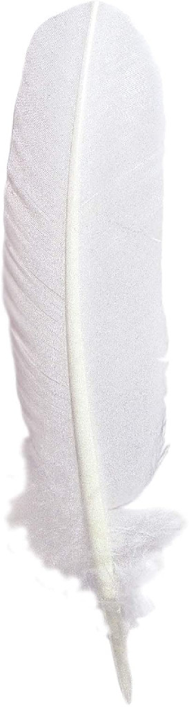 Гусяче перо для письма 28 см, білий, 23101T