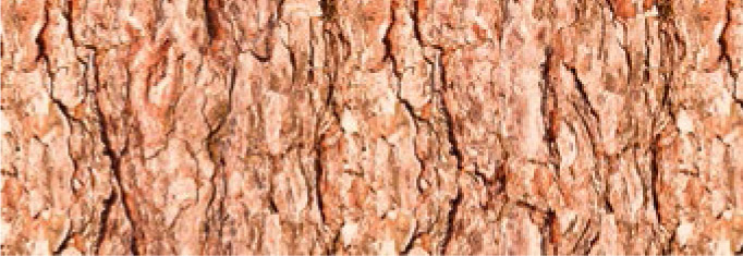 Картон диз.кольоровий 300 г 20*30 см Кора UR-12722262R