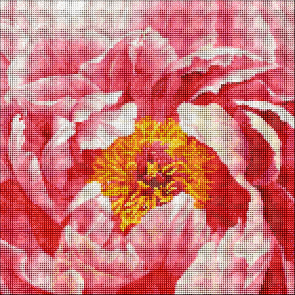 Набір з алмазною мозаїкою "Барвиста півонія ©ArtAlekhina" 40*40 см, AMO7273 ТМ "Ідейка"