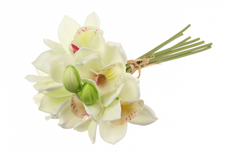 Орхідея декоративна, блідо-жовта, 51-14412