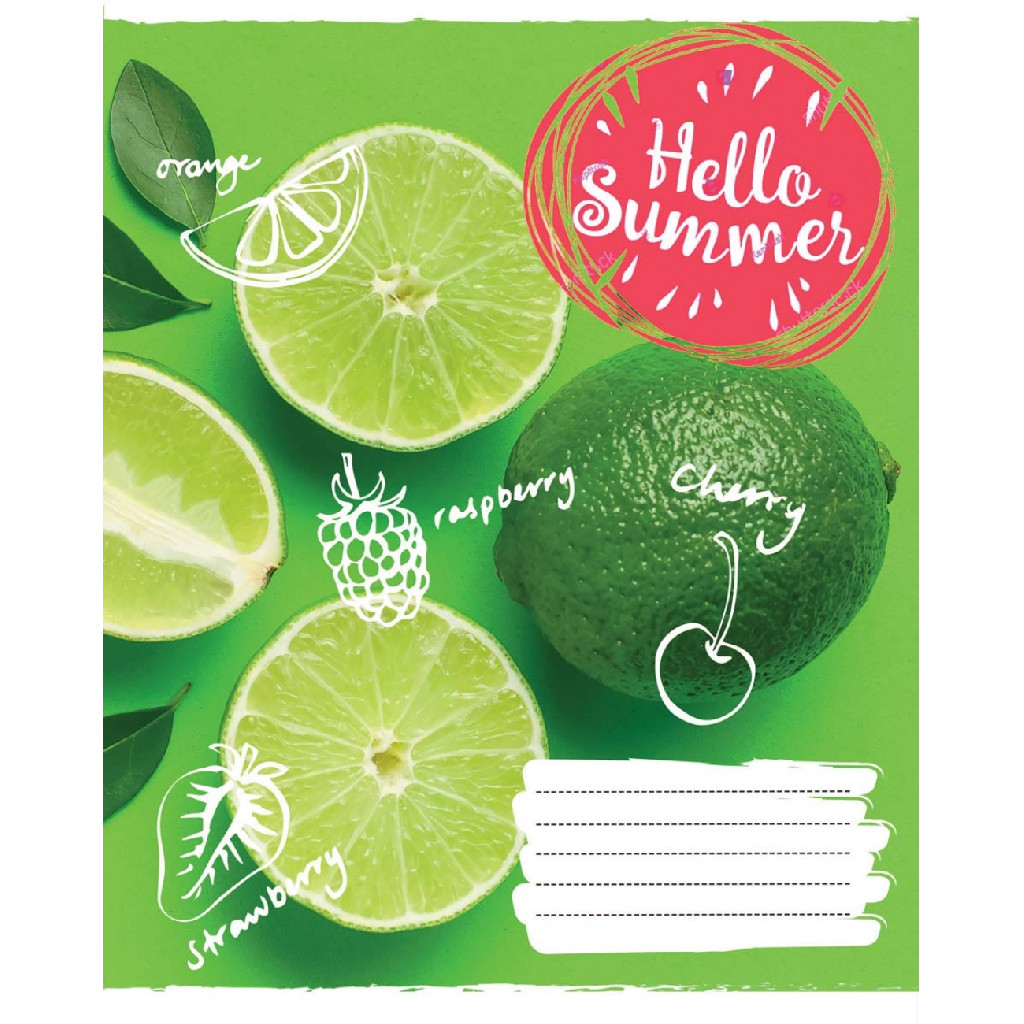 Тетрадь 60 кл. 1В Hello summer, 765694