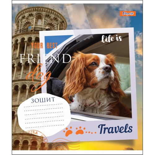 Тетрадь 36 кл. 1В Your Best Friend, 764602