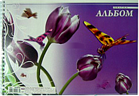 Альбом для малювання A4 40 арк. 100 г/м, на спір., АА4640