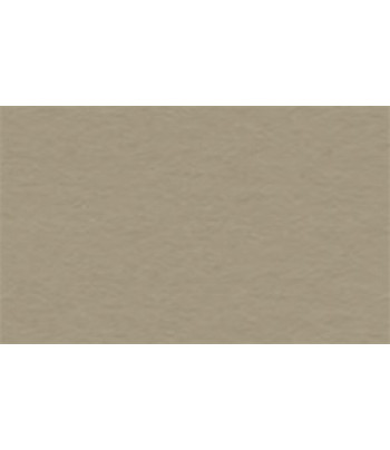 Картон диз.кольоровий 300г 20*30см Тауповий UR-3871476R