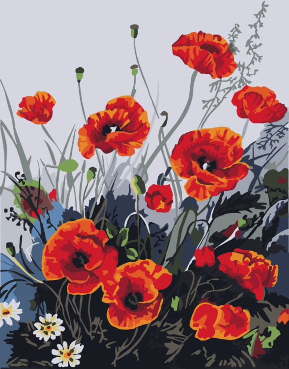 Картина по номерам 40*50 см "Красочные маки", 13105-AC