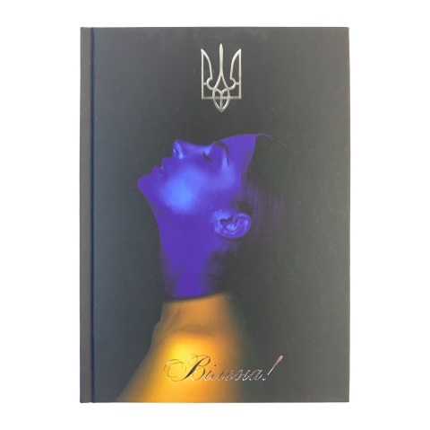 Ежедневник датированный A5, 2023, Free, кобальтовый, BM.2166-54