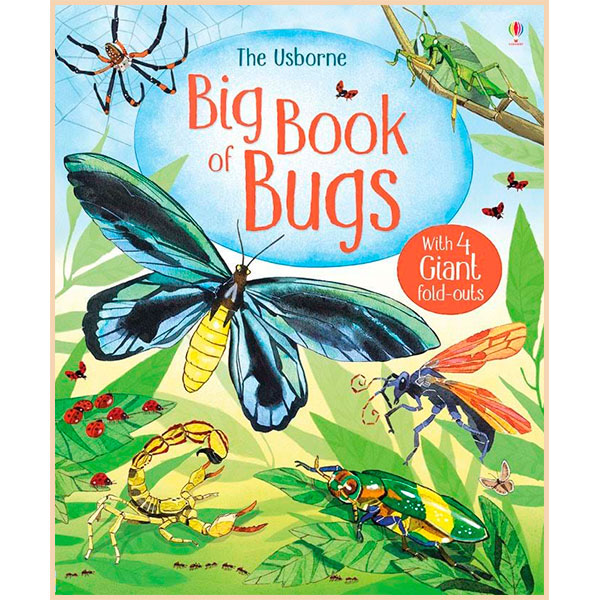 Книга "Big book of Big Bugs" (а)