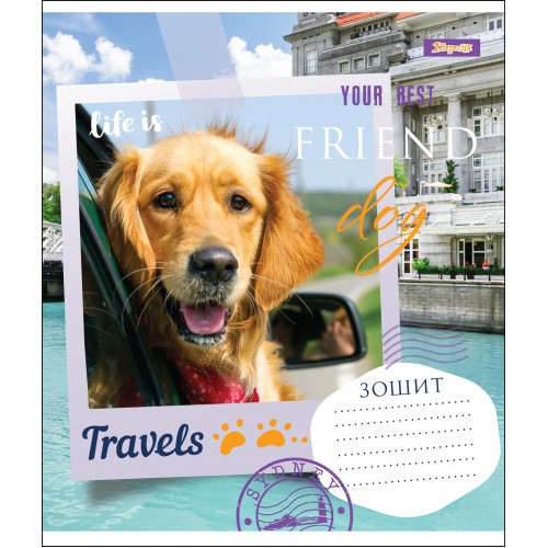 Зошит 18 кл. 1В Your Best Friend, 764524
