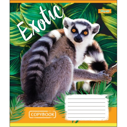 Тетрадь 18 кл. 1В Exotic Animal, 764530